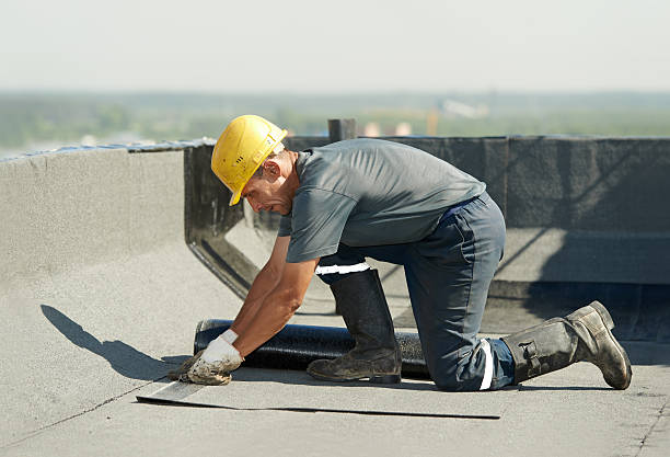 Best Insulation Removal  in Norman Park, GA